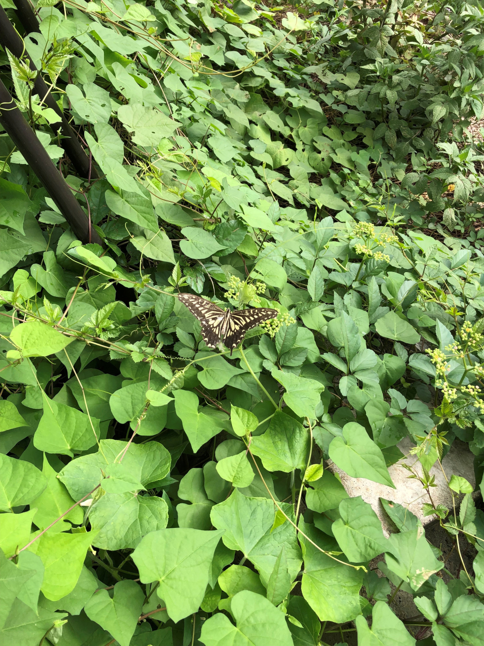 大切なのは距離感かも