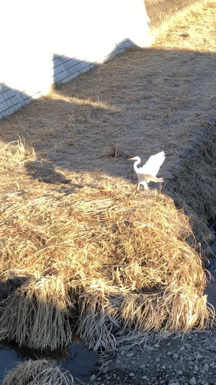 本年も元気いっぱいがんばります